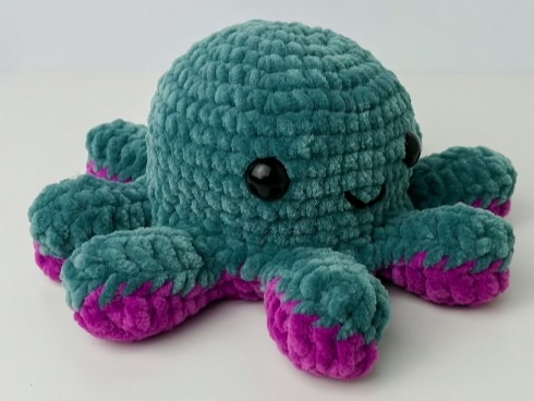 Reversible Octopus